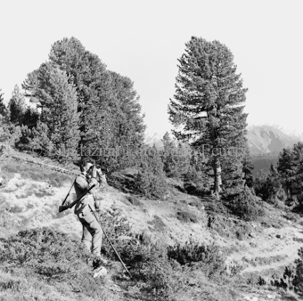 Album «Wild» Nr. 2, Serie: Jagd