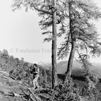 Album «Wild» Nr. 2, Serie: Jagd