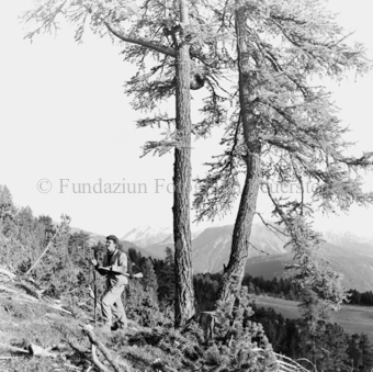 Album «Wild» Nr. 2, Serie: Jagd