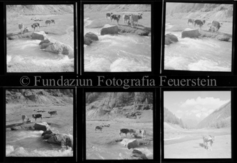 Flüelapass