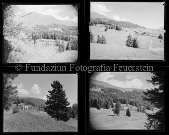 Institut, Ftan