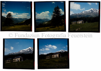 Institut, Ftan