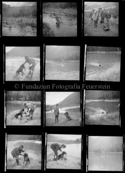 Jagdhunde bei der Wasserarbeit