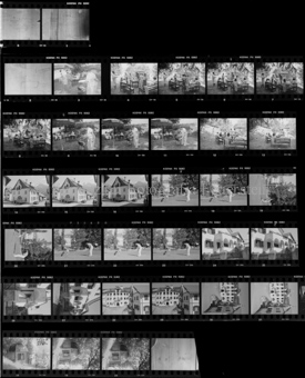 Reportage Randolinas Allegra