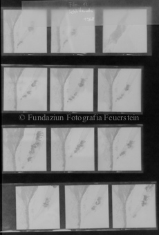 Film 12, Schlitteda