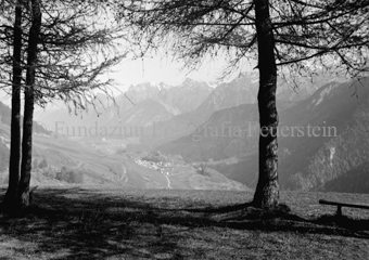 Blick ins Tal zwischen zwei Bäumen durch, Ardez mit Ruine Steinsberg, Schloss Tarasp im Hintergrund
