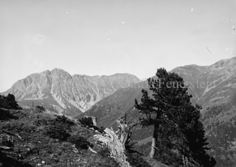 Arven vor Berglandschaft