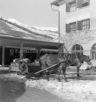 Schlittenkutsche mit Pferd auf Platz 