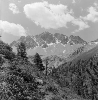 Wald an Berghang mit Blick ins Tal, Blick auf Piz Tavrü