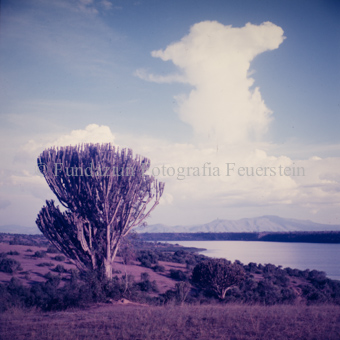 Landschaften und Natursituationen, Virunga-Expedition