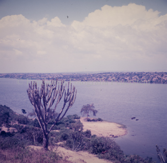 Landschaften und Natursituationen, Virunga-Expedition