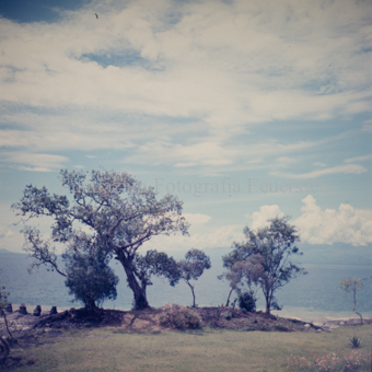 Landschaften und Natursituationen, Virunga-Expedition