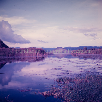 Blick auf See, im Hintergrund Vegetation und Berge