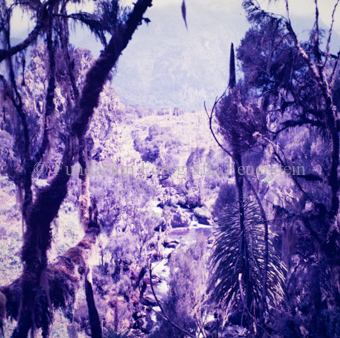 Landschaften und Natursituationen, Virunga-Expedition