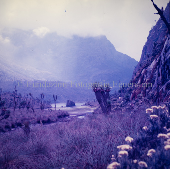 Landschaften und Natursituationen, Virunga-Expedition