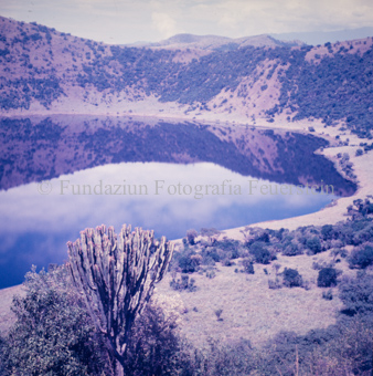 Blick auf See und Vegetation