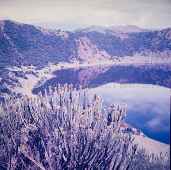 Blick auf See und Vegetation