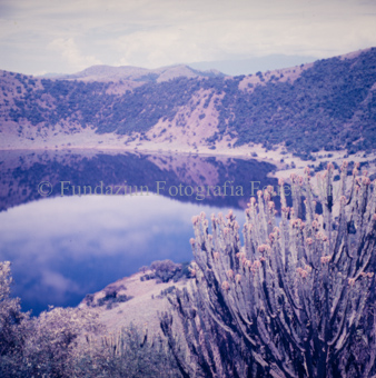Blick auf See und Vegetation