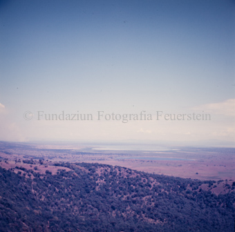 Blick auf Landschaft