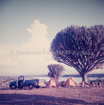 Zeltlager neben Baum, Auto, im Hintergrund See