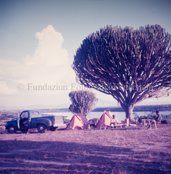 Zeltlager neben Baum, Auto, im Hintergrund See