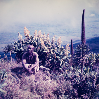 Hockender Mann vor Vegetation mit Tal im Hintergrund