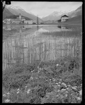 See mit Schilf gegen Fontana