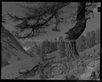 Val Tuoi mit Piz Buin