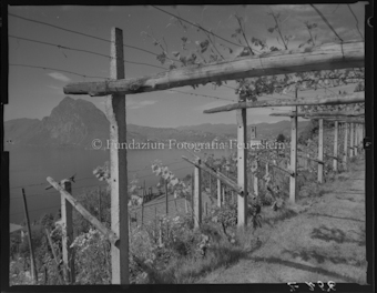 Lugano, Blick von Castagnola gegen San Salvatore