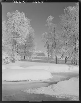 Winter, Rauhreif am Inn