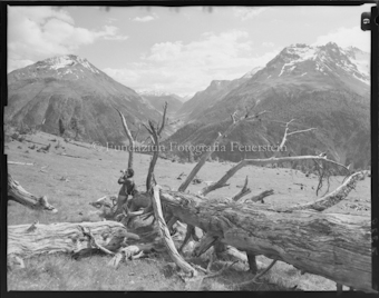 Alp la Schera mit Livigno