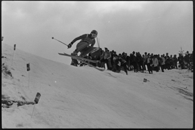 Skifahrer in voller Fahrt auf der Piste, Zuschauer, Pistenmarkierung mit Aufschrift «Wengen»