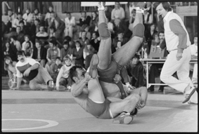 Ringkampf