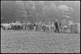 Pilot und Kinder mit dem zusammengefalteten Ballon auf einem Feld