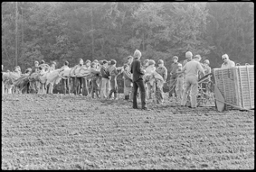 Pilot und Kinder mit dem zusammengefalteten Ballon auf einem Feld