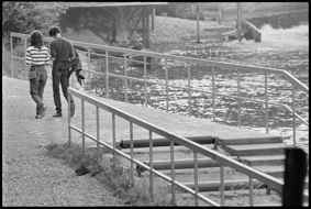 Spaziergang in der Schwellenmatte