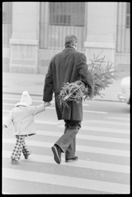 Mann und Kind mit einem zusammengebundenen Christbaum, die Strasse überquerend