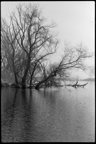 Winterliche Stimmung an einem See
