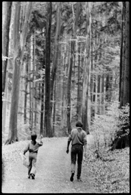 Zwei Pfadfinder auf Waldweg