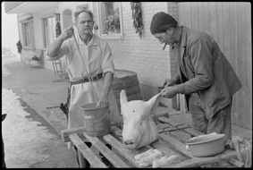 Bauer und Metzger mit Schweinekopf und -füssen