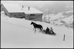 Bauern mit Pferd und Schlitten im Schnee