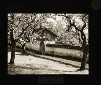 Aus der Serie «Projektionsbilder» des Zürcher Photographen Vereins