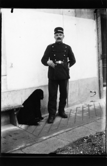 Gendarme, chien