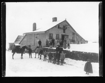 Traîneau, chevaux