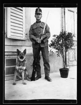Militaire, chien