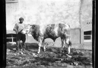 Taureau