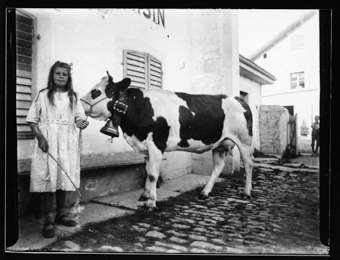 Vache