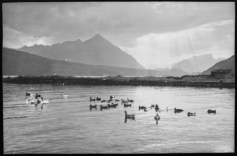 Interlaken, Am Thunersee