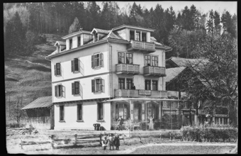 Interlaken, Restaurant «Mont-Fleure»