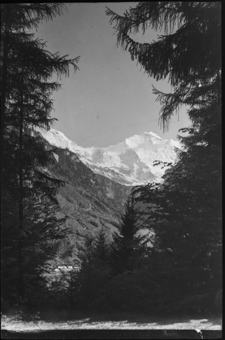 Interlaken, Rugen, Blick auf die Jungfrau